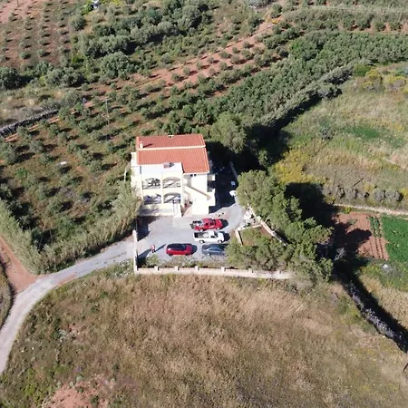 Margarita Marifay * Psifia